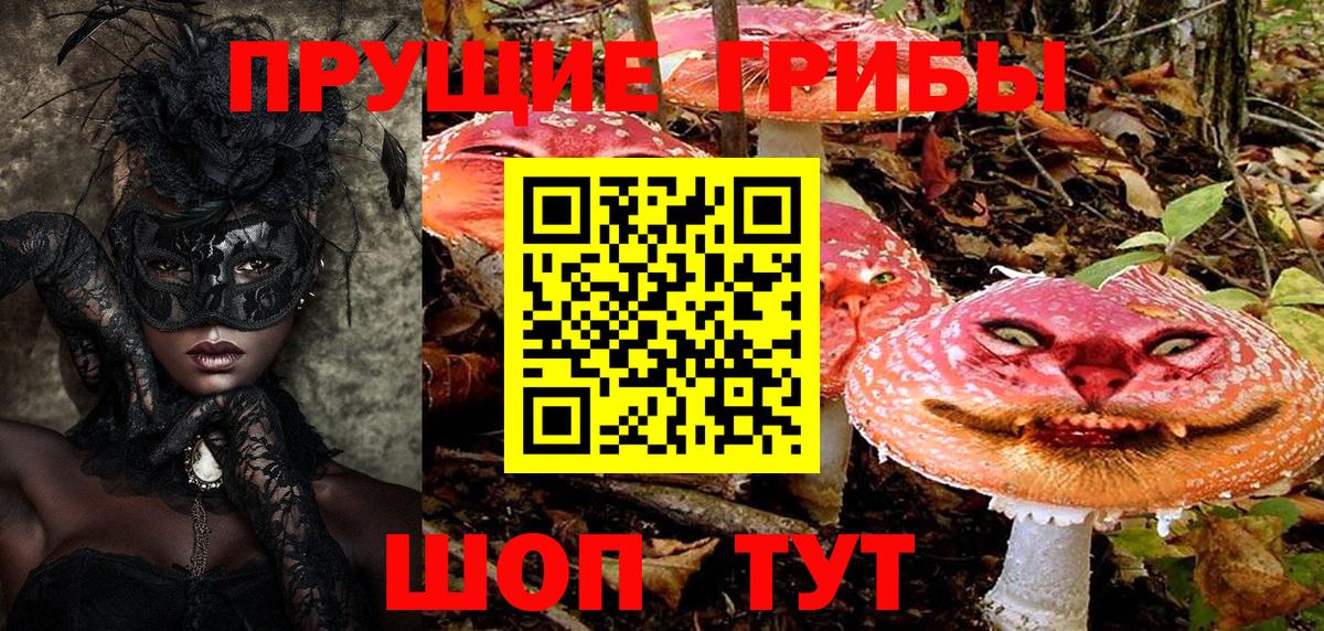 Псилоцибиновые грибы Psilocybe Екатеринбург